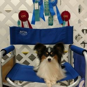 Meet your Posher, Cindy